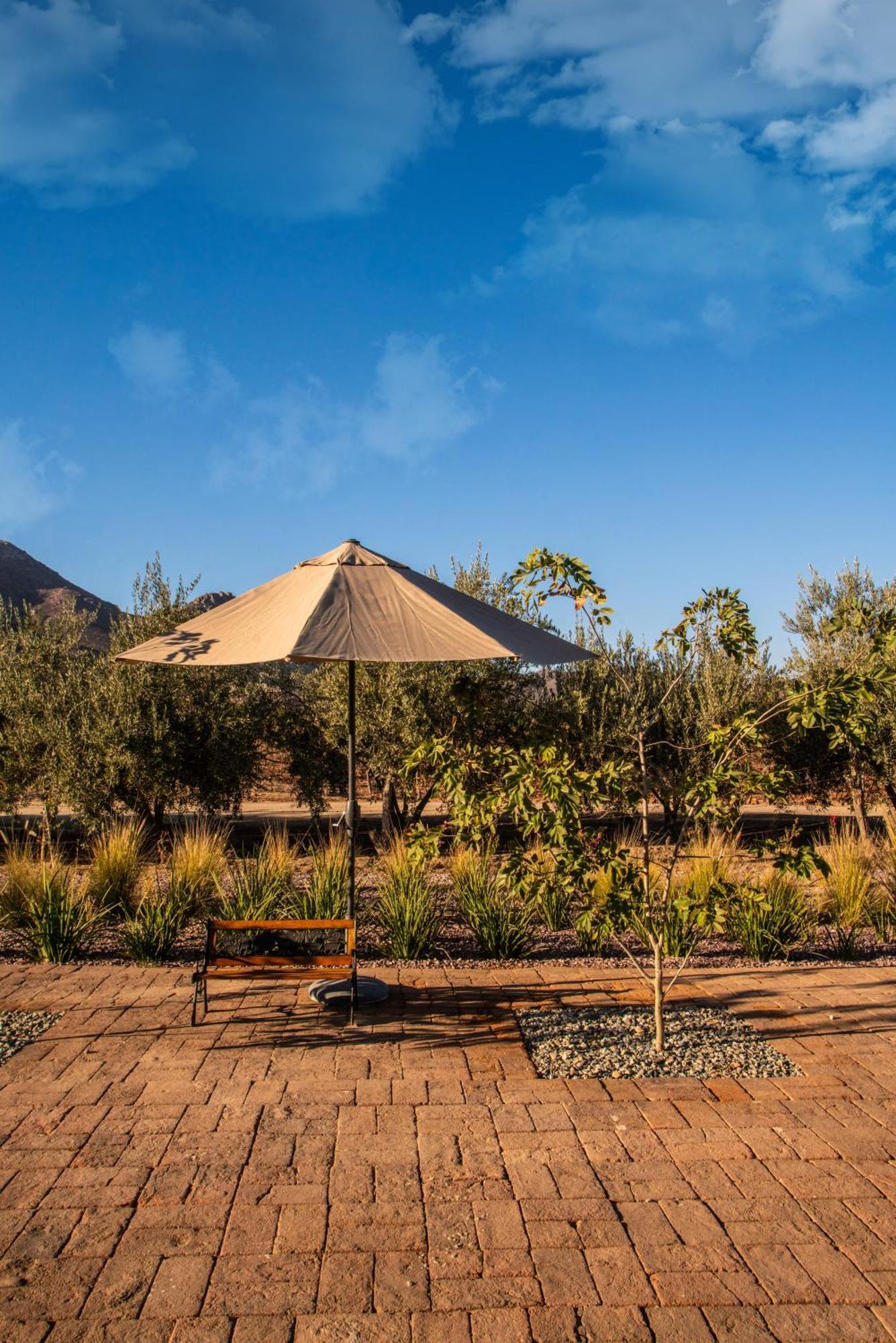 Hotel Flores De Sal-Valle De Guadalupe Exterior foto
